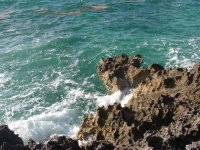 Cat Cay to Berry's 012.jpg